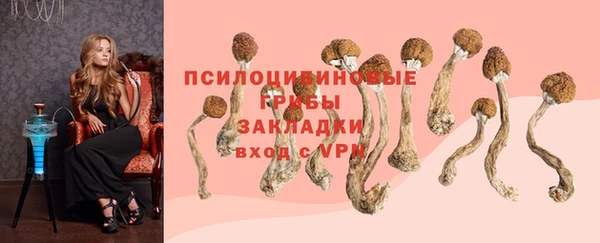 герыч Арсеньев