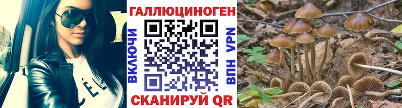 kraken ТОР  Зубцов  Псилоцибиновые грибы ЛСД 
